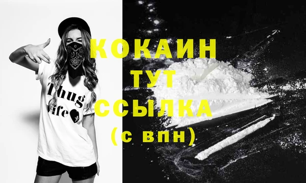 кокс Аркадак