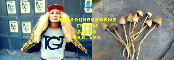 кокс Аркадак