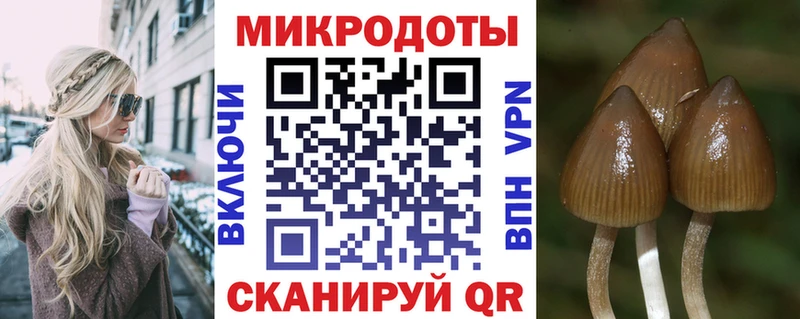 Галлюциногенные грибы MAGIC MUSHROOMS  купить   Маркс 
